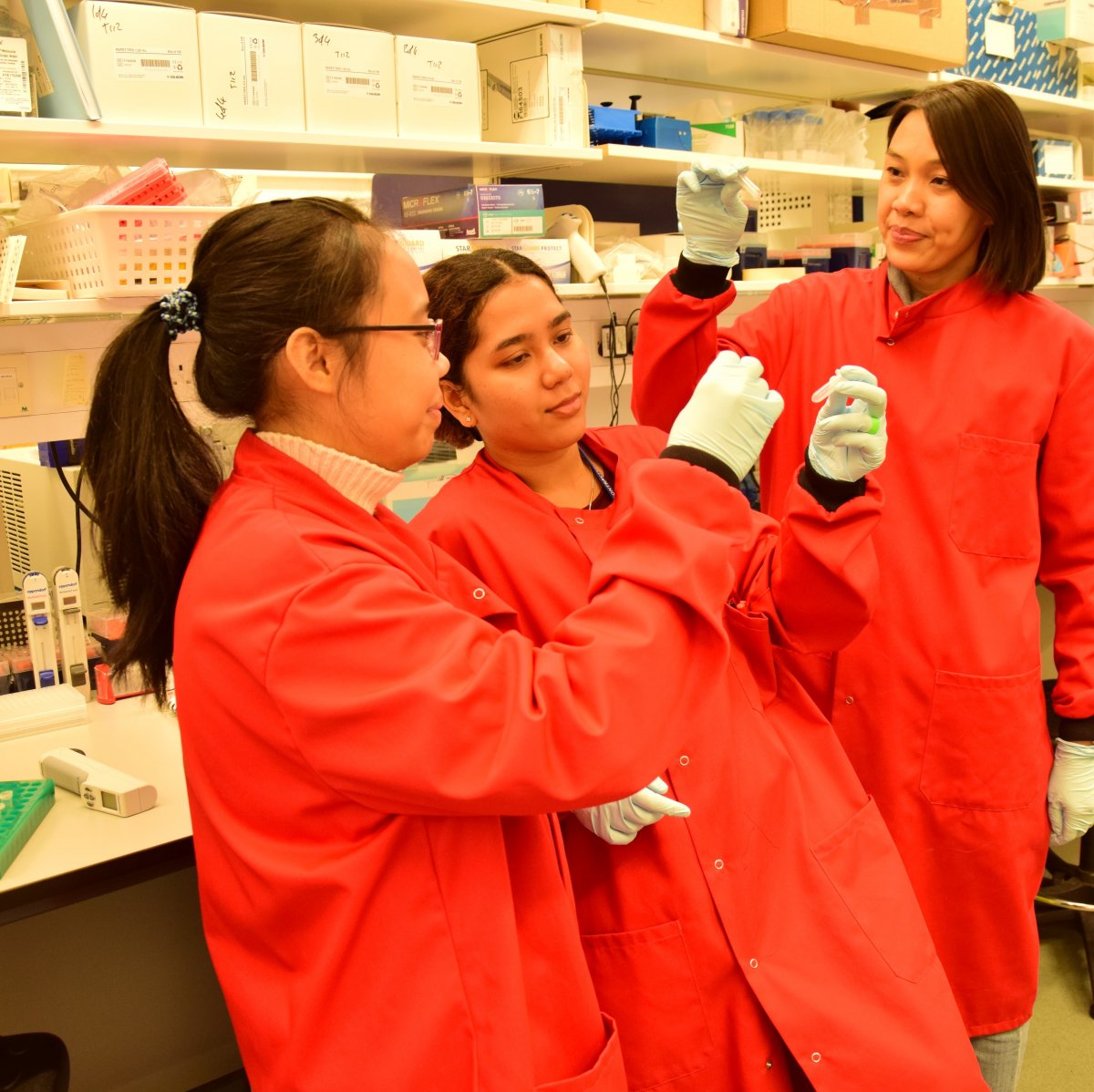 Angela (middle) compares samples with her colleagues Agatha Mia Puspitasari (left) and Willy Augustine (right). Credit: Shavanthi Rajatileka/Wellcome Sanger Institute Angela (middle) compares samples with her colleagues Agatha Mia Puspitasari (left) and Willy Augustine (right).